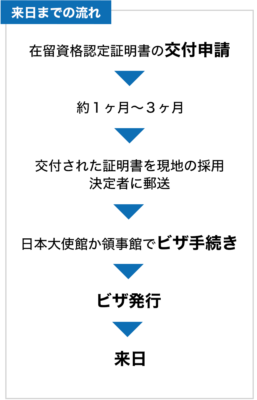 来日までの流れ